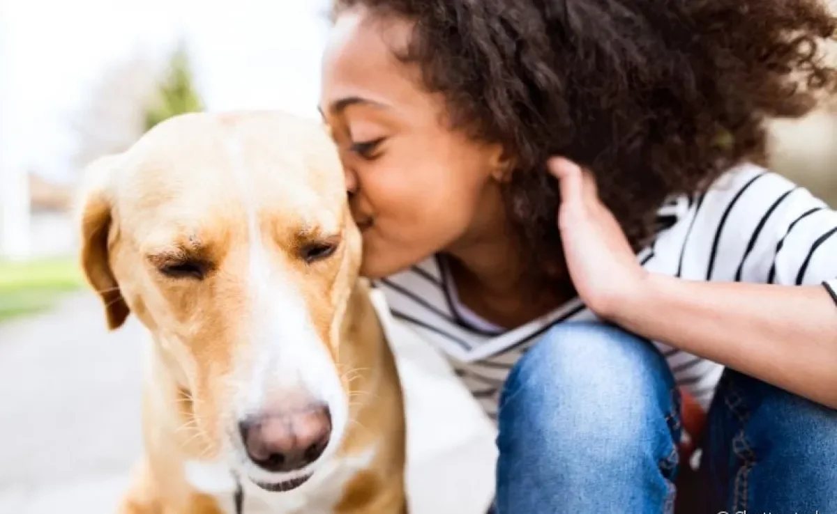 A terapia com cachorros e gatos é muito benéfica para diferentes pacientes, inclusive crianças