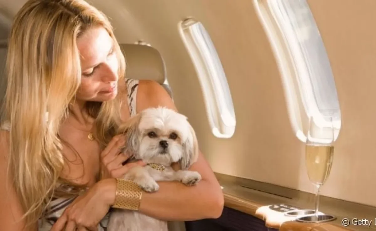 O cachorro de suporte emocional ajuda tutores a lidarem com transtornos psicológicos