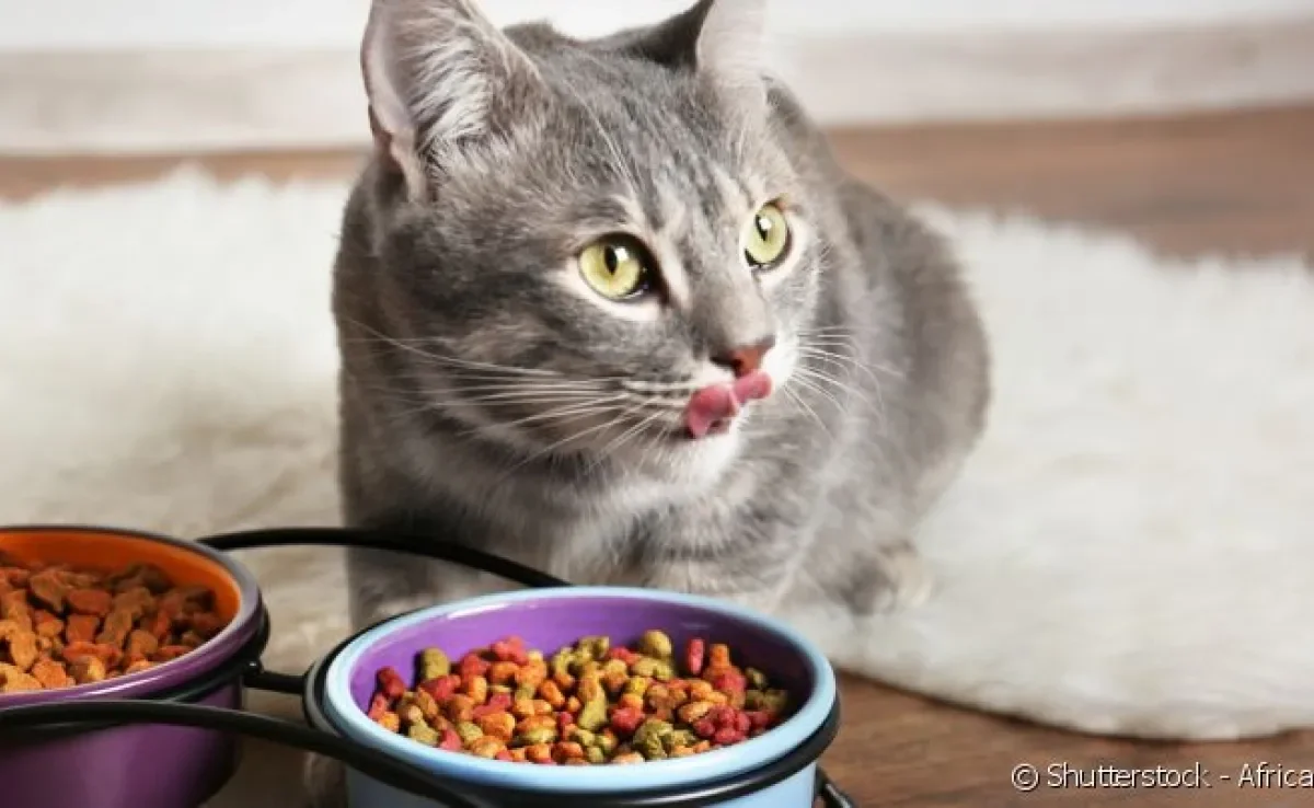  Rações de gato podem ser enriquecidas com vitaminas e minerais, se tornando ainda mais completas.
