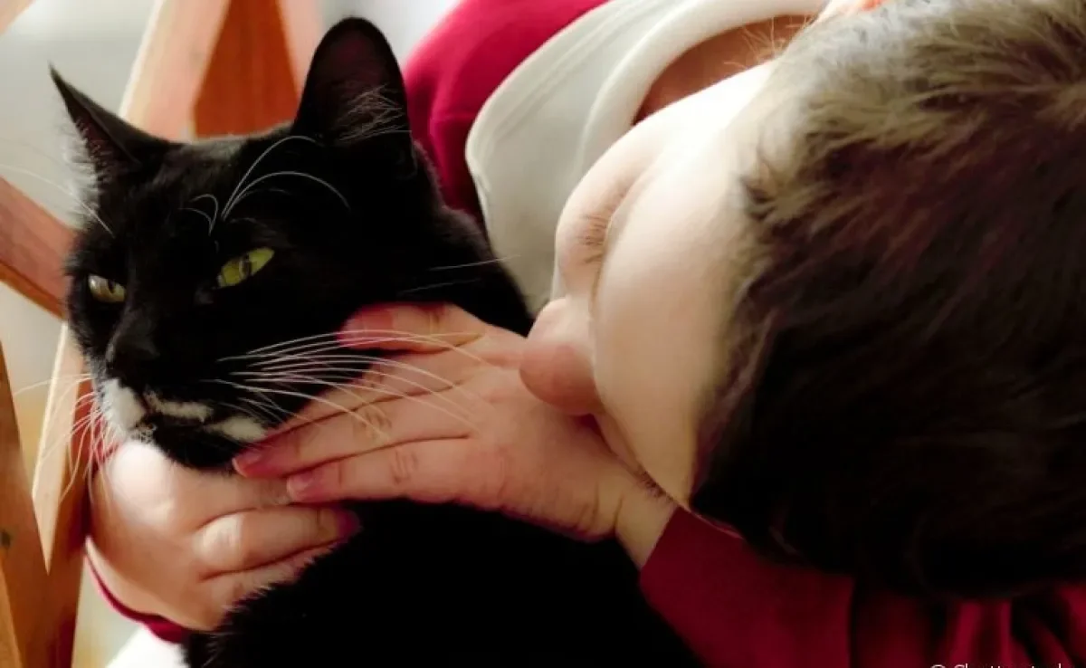 Para evitar um gato engasgado é necessário ter alguns cuidados