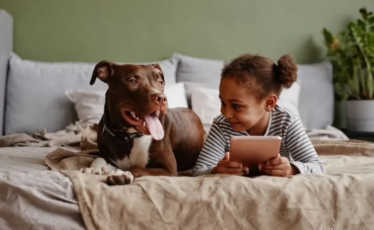 Cachorro para criança: Pitbull, Labrador e Terra Nova são cães grandes que se dão bem com os pequenos