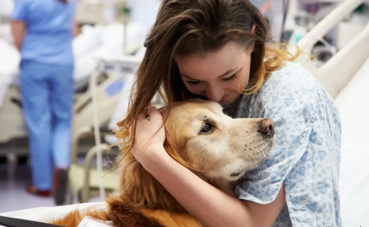 A terapia assistida por animais é comumente utilizada em situações de hospitalização