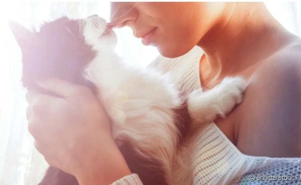  Quem já adotou cachorro ou gato sabe que os sentimentos que vão sendo construídos dia após dia