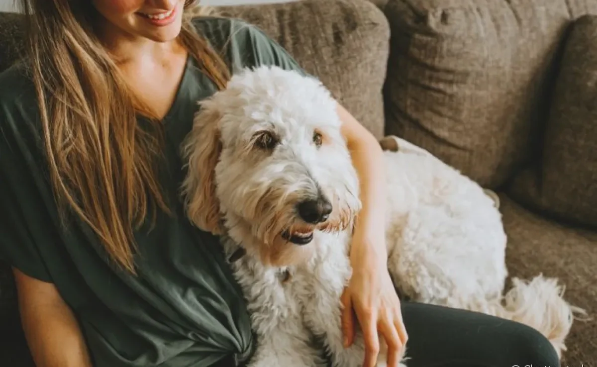 O serviço de pet sitter inclui todos os cuidados que o seu cãozinho precisa