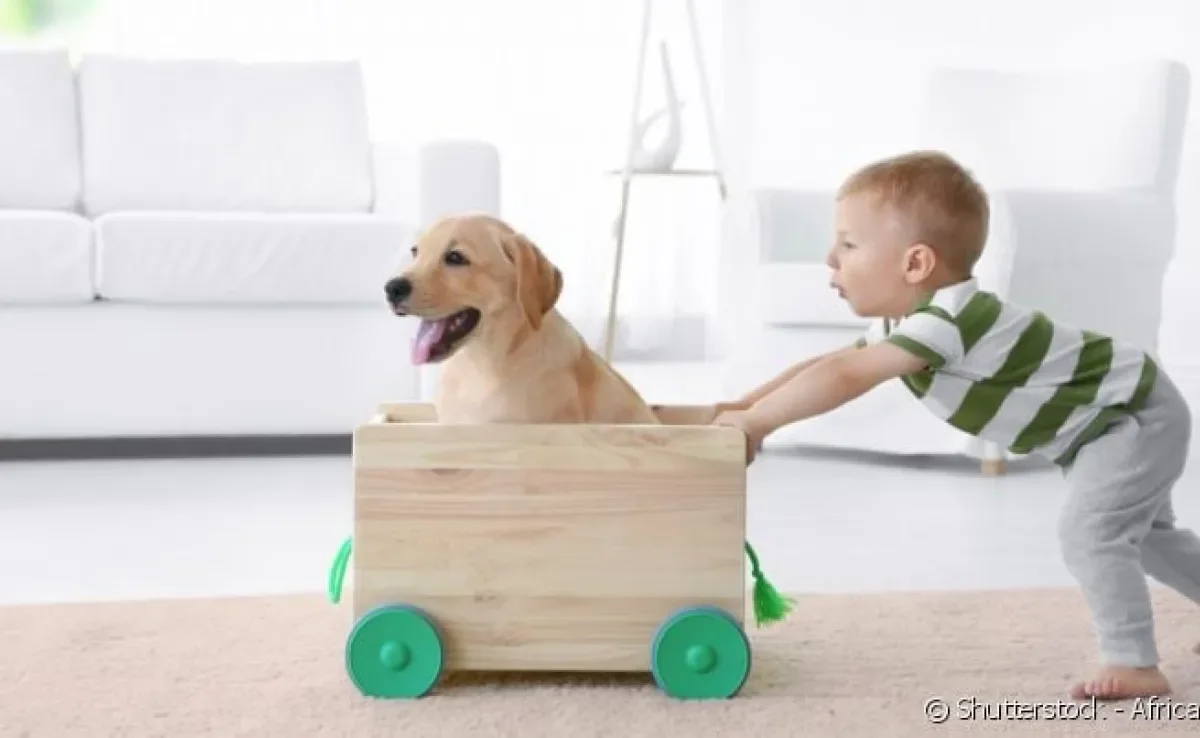 O Labrador é um cachorro que se dá muito bem com crianças