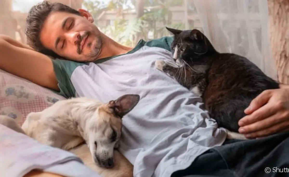 Adotar cachorro ou gtao traz inúmeros benefícios tanto para o animal quanto para o pai de pet