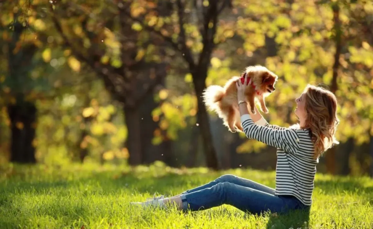 Cachorros pequenos são sempre ótimas companhias