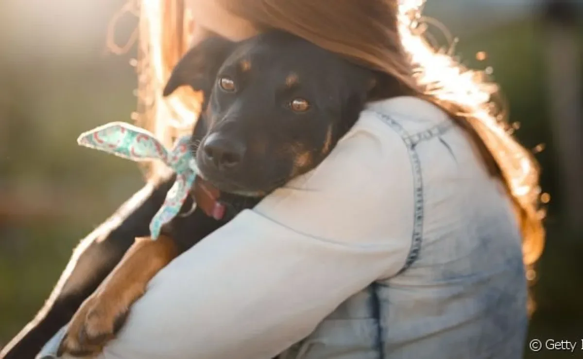 Adotar cachorro pode ser trabalhoso, mas todo cuidado vale a pena.