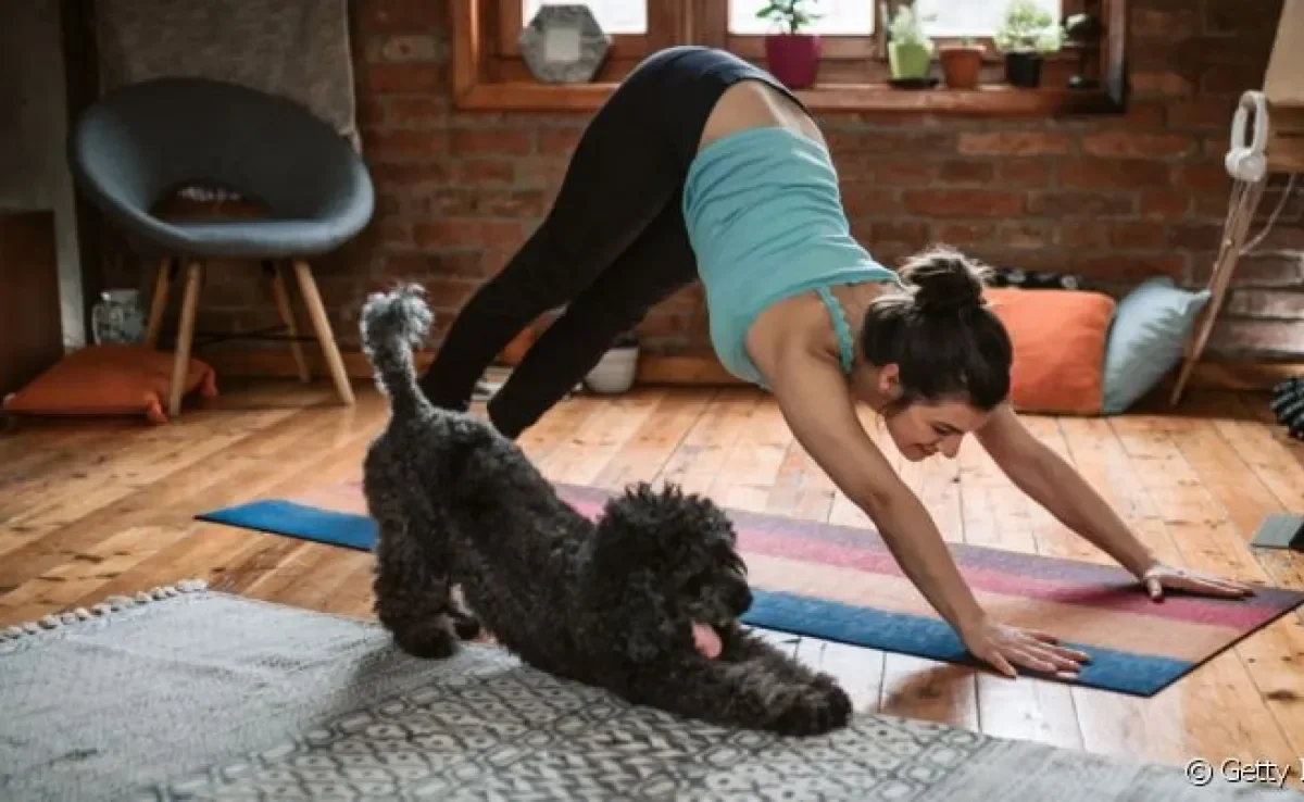 Yoga para cachorro é uma prática que vem fazendo cada vez mais sucesso