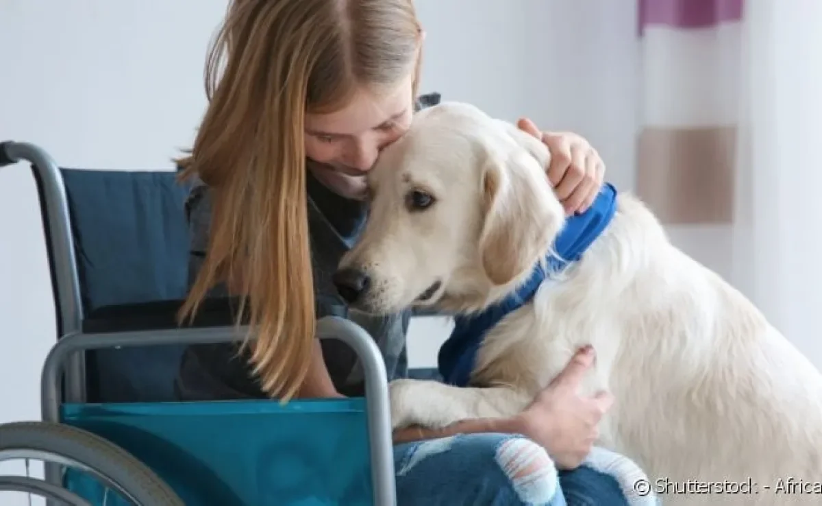 Pessoas com deficiência de qualquer tipo podem ter muitos benefícios com a companhia de um Labrador.