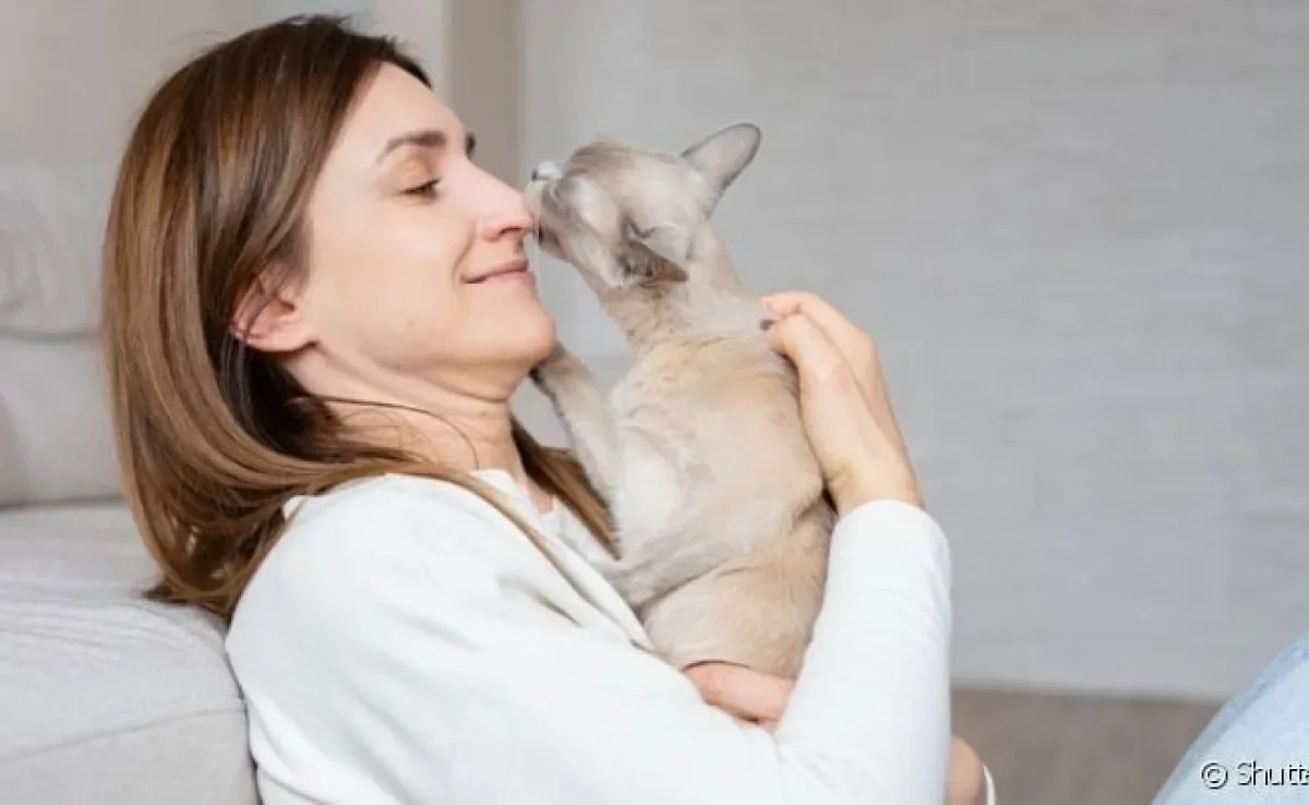 Normalmente o cachorro ou gato lambe o rosto do dono para demonstrar afeto