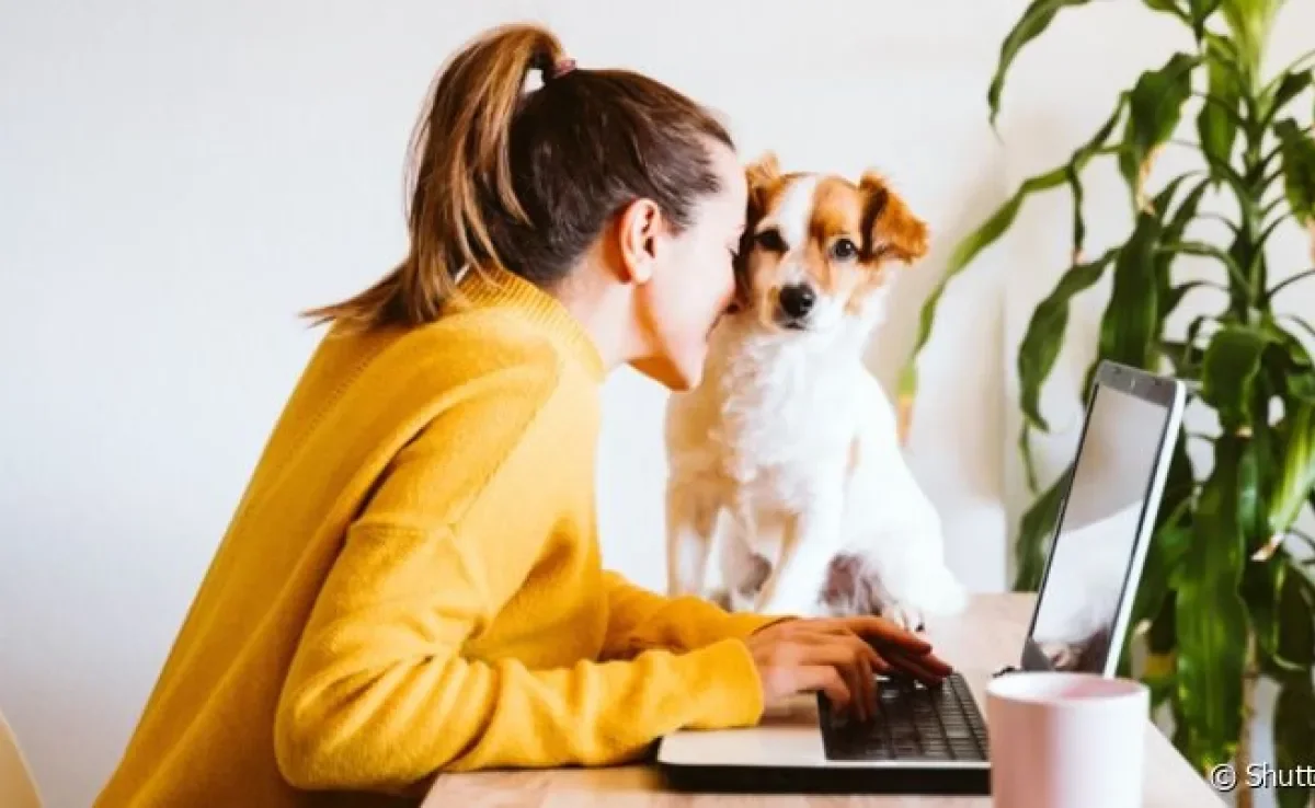  Ter um cachorro ajuda na ansiedade e pode até mesmo impactar no seu sucesso profissional 