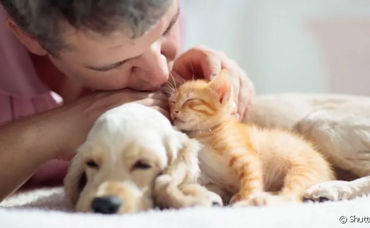 Pais que falam "eu não quero cachorro dentro de casa" sempre acabam abrindo o coração