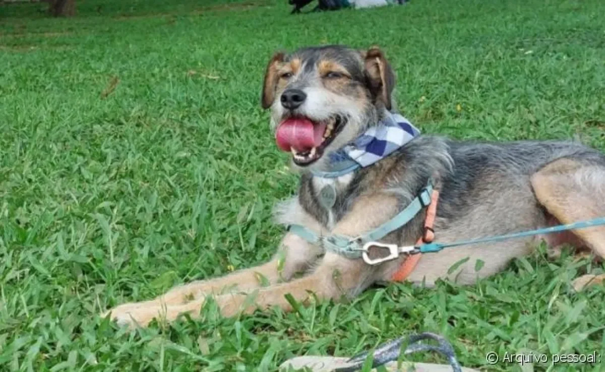 A língua de cachorro ou gato pode deixar qualquer foto mais fofa, e a Caju é a prova disso!