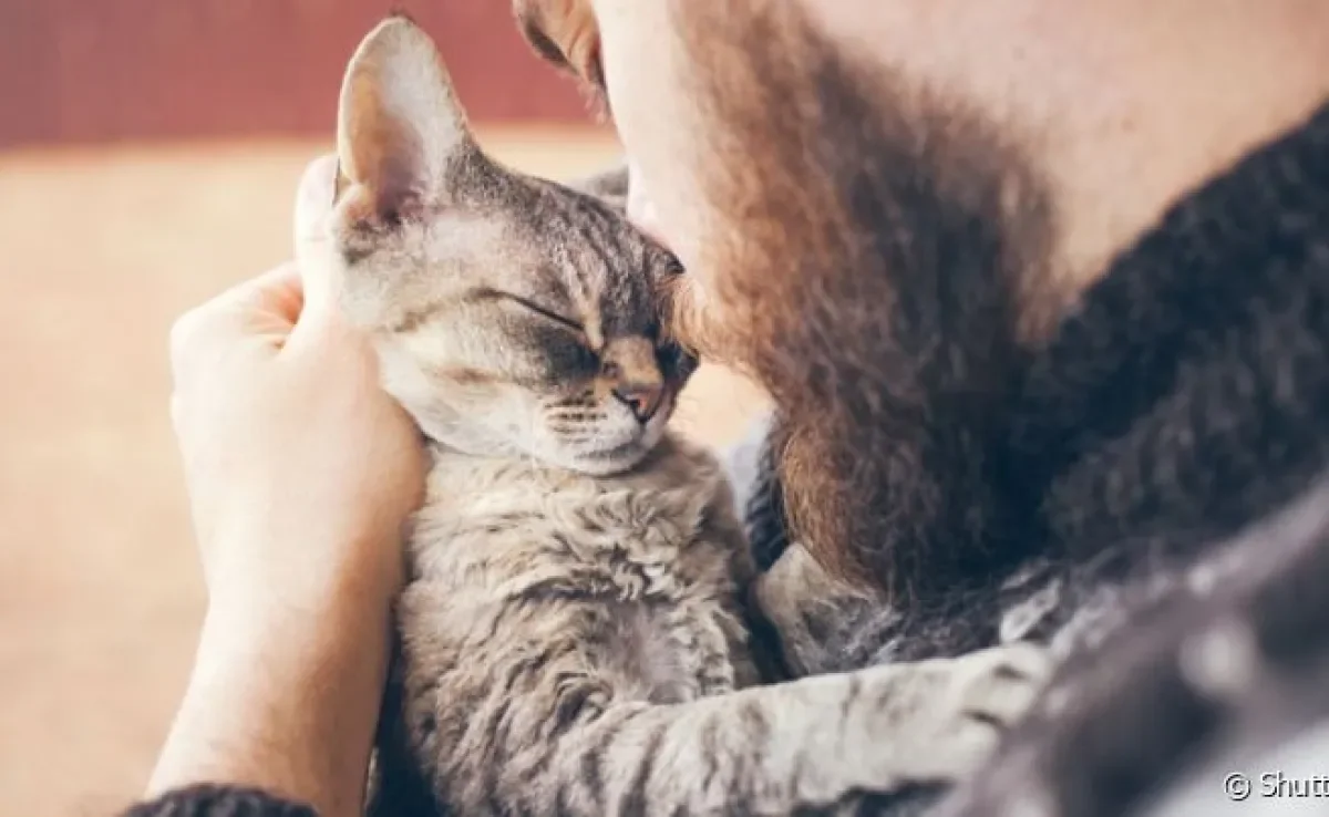 O luto por animal é tão doloroso quanto a perda de um ente querido