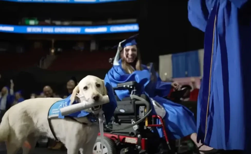 O cãozinho Justin recebeu muitos aplausos ao receber seu diploma