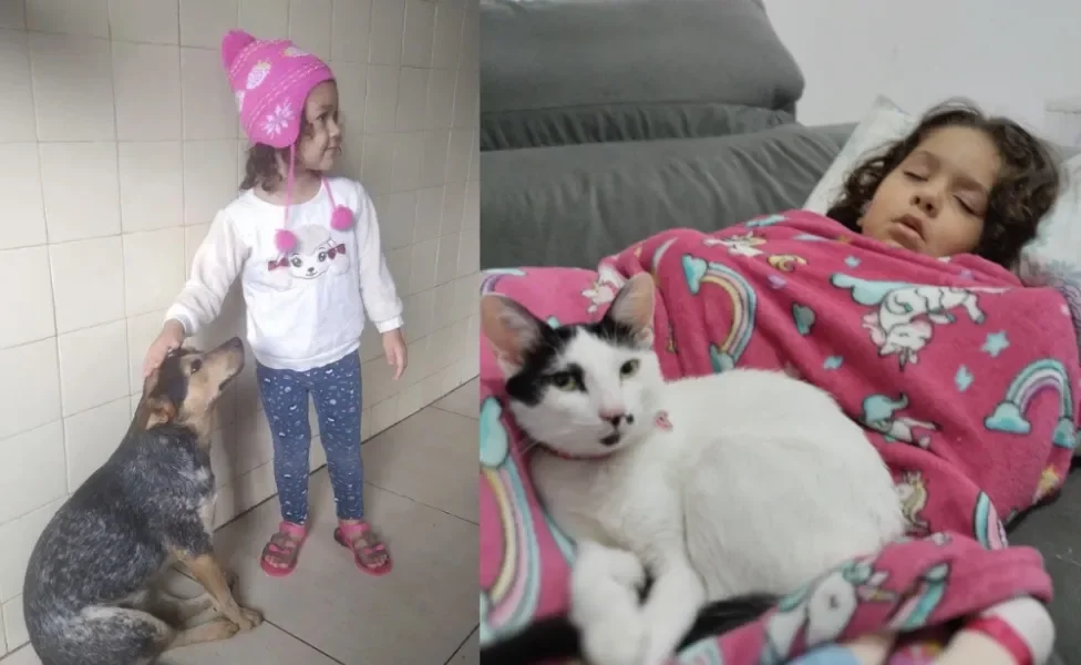 Dia das crianças pets: Lívia tem 4 aninhos e está nas fotos com a gatinha resgatada Surya e a cadela Julie, da raça Pastor Boiadeiro