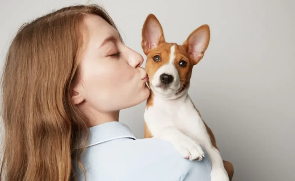Descubra o que os cachorros pensam quando beijamos eles! 