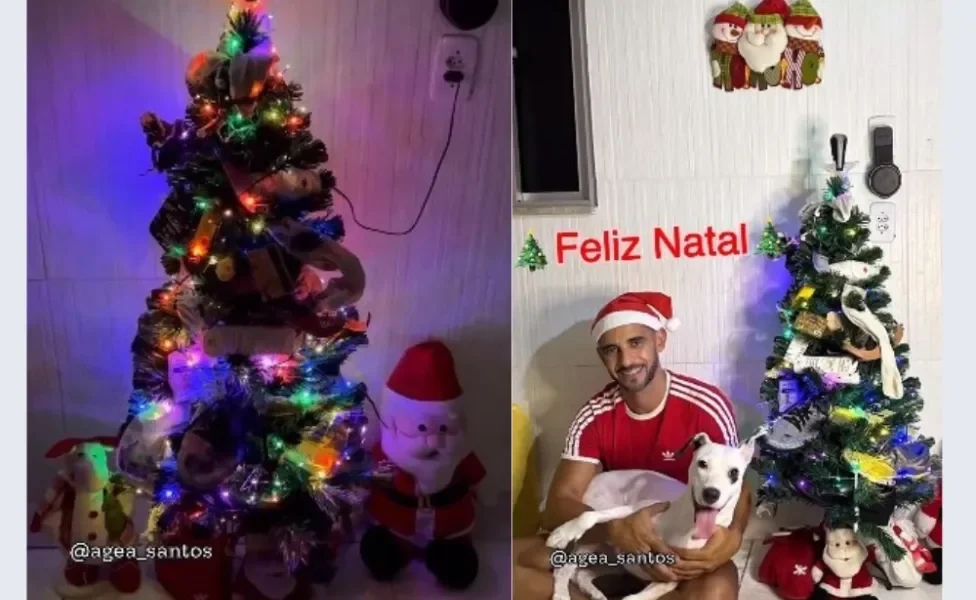 Veja a árvore de Natal que o tutor montou com a ajuda de sua cadela / Créditos Instagram: @agea_santos