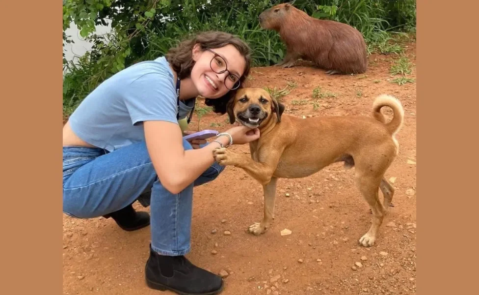 Cachorro caramelo conquistou o coração de uma estudante de veterinária. Créditos Instagram: @dani_silveira_