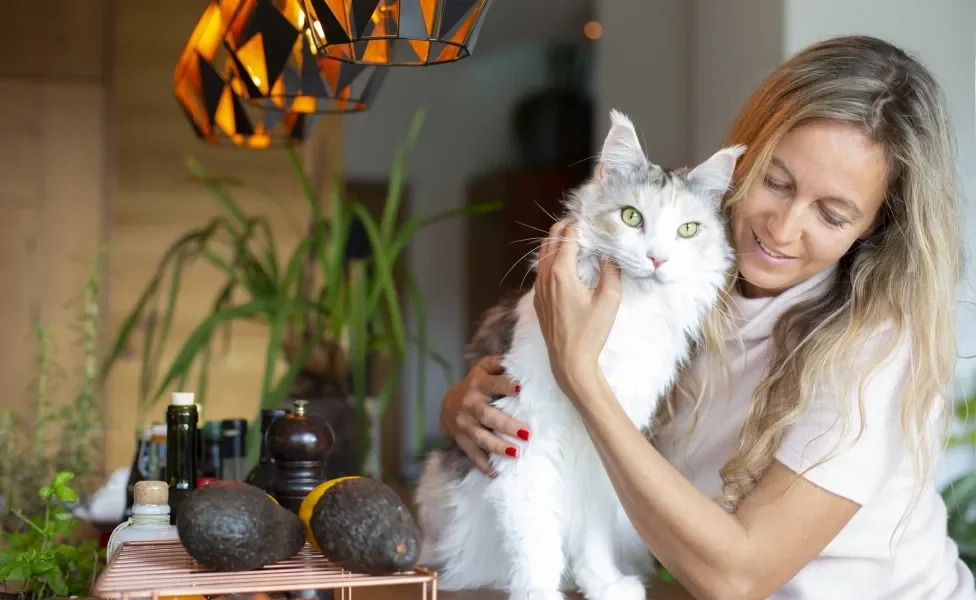 Mulher abraçando gato grande branco