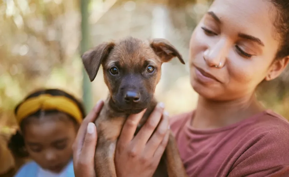 Tutora segurando cachorro no colo com criança ao fundo