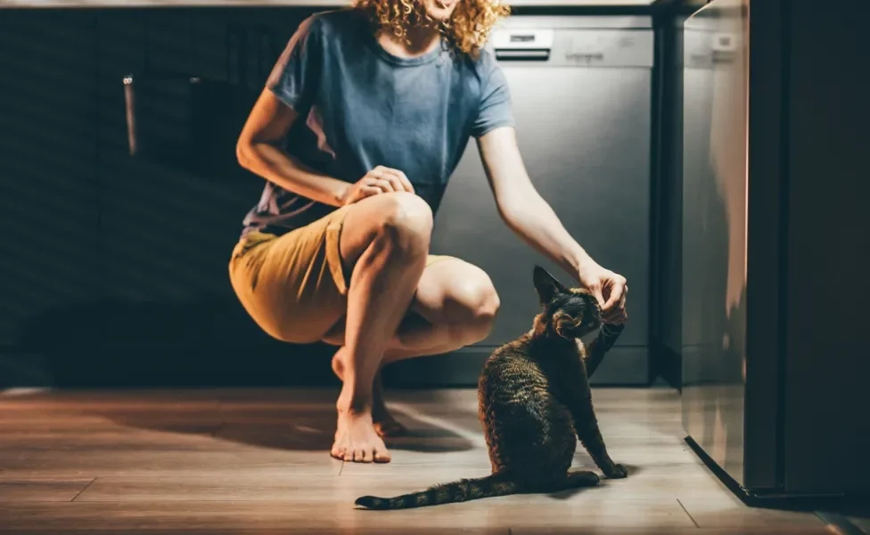 Tutora dando petisco para gato