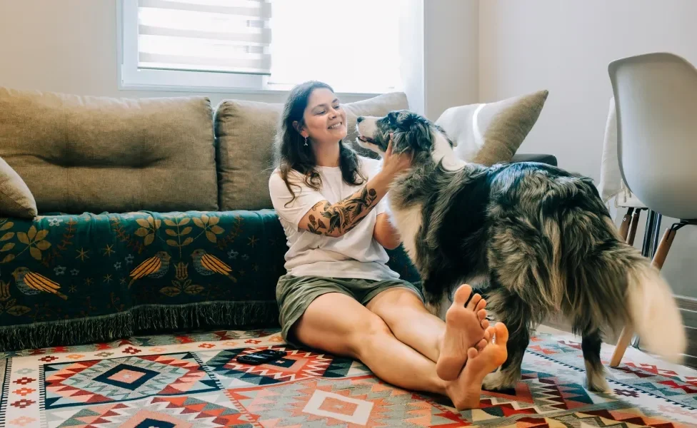 Mulher sentada no chão da sala fazendo carinho em Border Collie