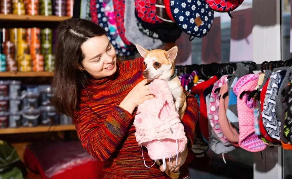 Tutora provando roupa de cachorro em Chihuahua dentro de uma loja