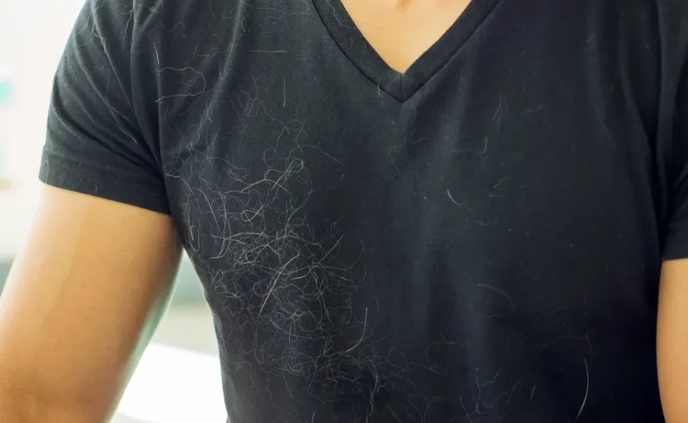 Homem com camiseta preta cheia de pelos de gato