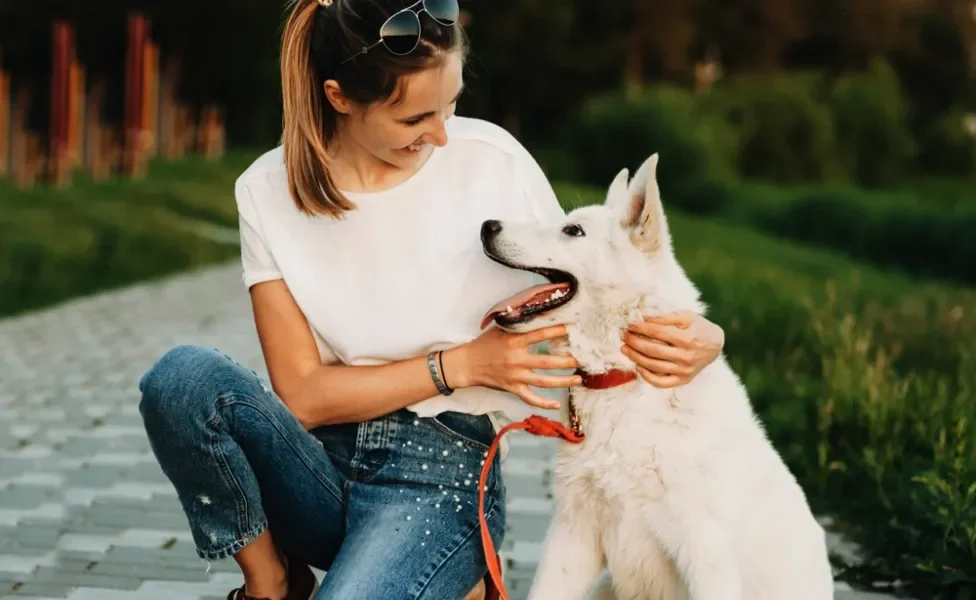comportamento canino: cachorro e mulher trocando olhares sentados em jardim