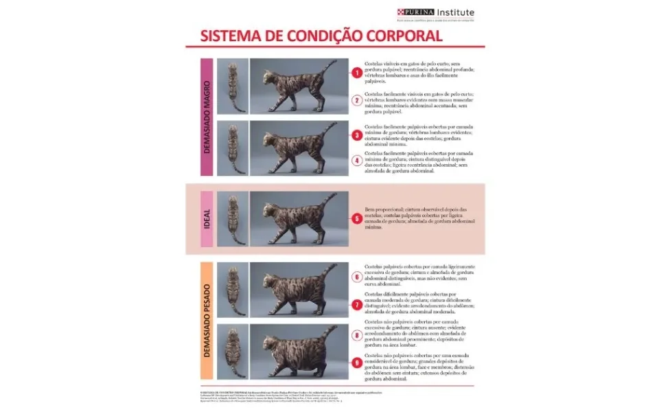 Escore de Condição Corporal de Gatos Purina