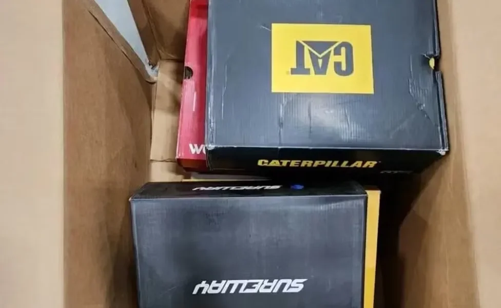 caixa de papelão que a gata ficou durante 6 dias