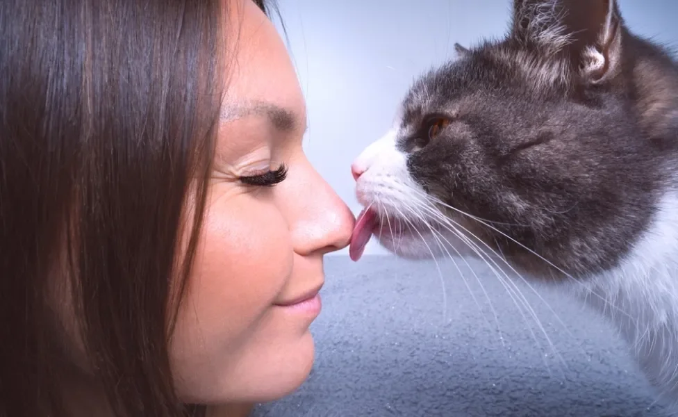 gato lambendo nariz de tutora