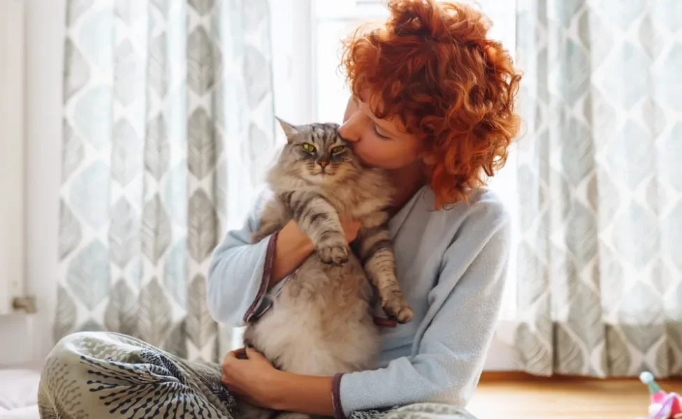 raças de gato: maine coon sendo beijado por mulher