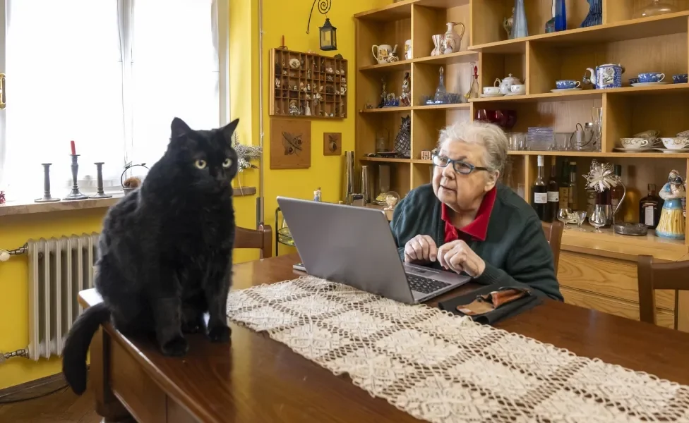 Gato preto sentado em cima de mesa enquanto tutora idosa o observa