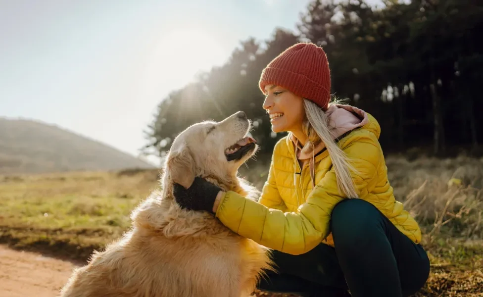 Golden Retriever sendo acaraciado por mulher ao ar livre