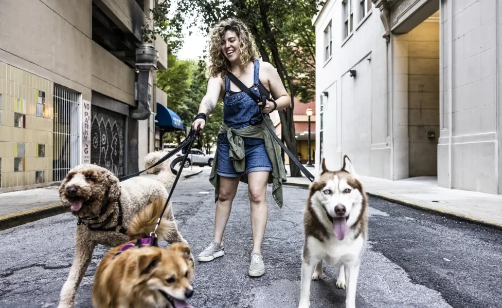 Mulher passeando na rua com três cachorros