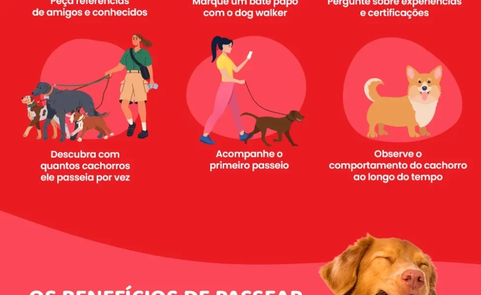 bloco informativo com dicas de como escolher o melhor passeador de cachorro