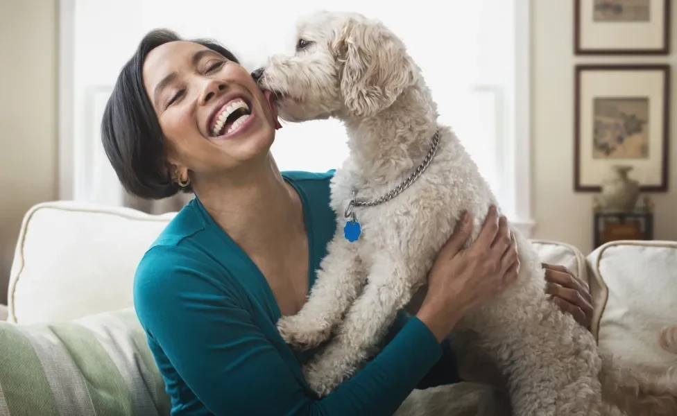 Cão lambendo rosto de tutora sorridente