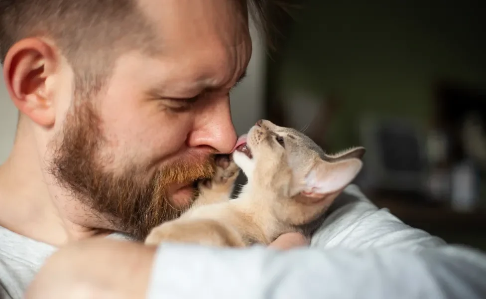 Gato lambendo nariz de tutor
