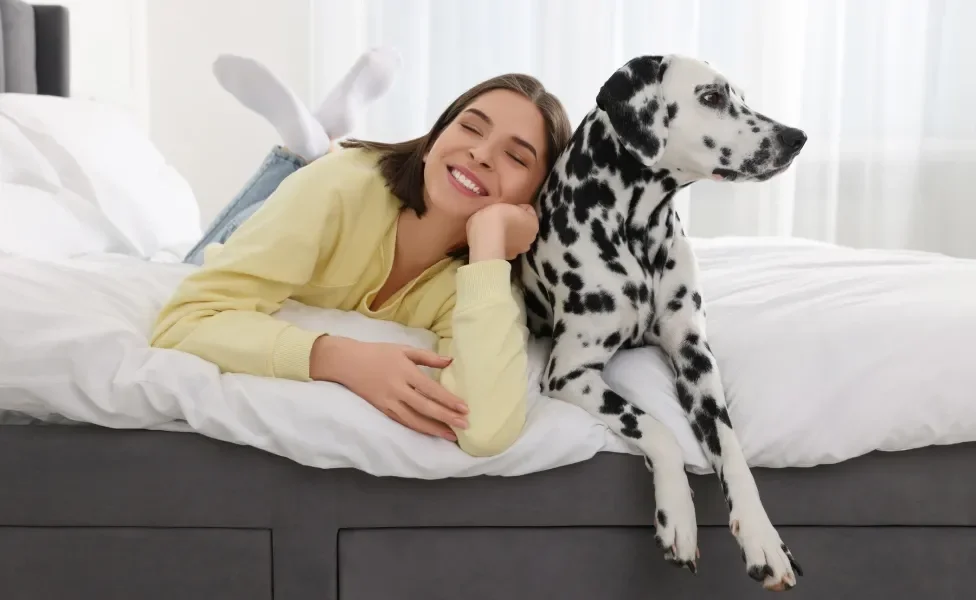 Tutora deitada em cama junto de cão Dálmata