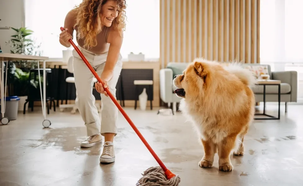 Tutora limpando chão com esfregão enquanto sorri para seu cão Chow Chow