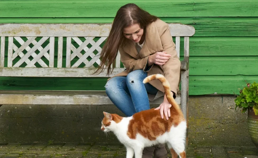 Mulher sentada em banco fazendo carinho em gato