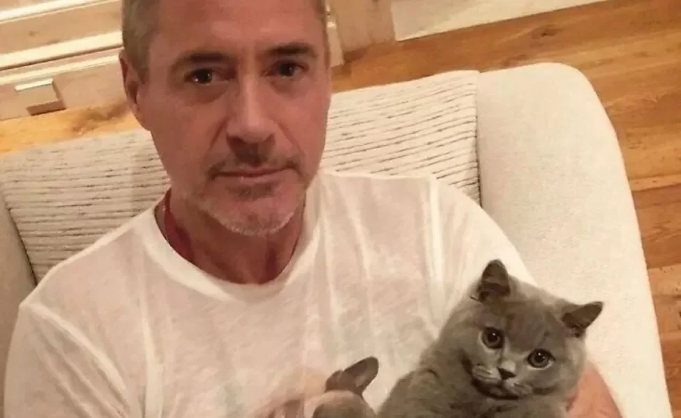 Robert Downey com gatinho no colo