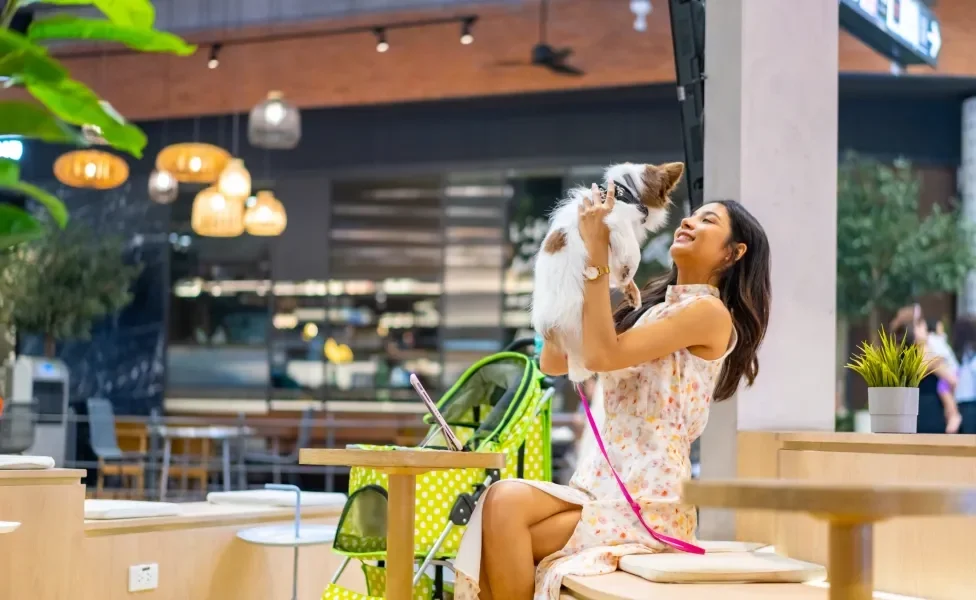 Tutora brinca com cachorro dentro de shopping