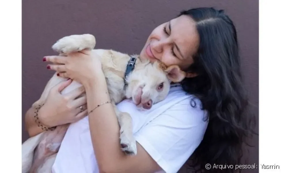 Conversamos com a protetora de animais Yasmin Jacob e ela contou como é a rotina de resgatar cães abandonados