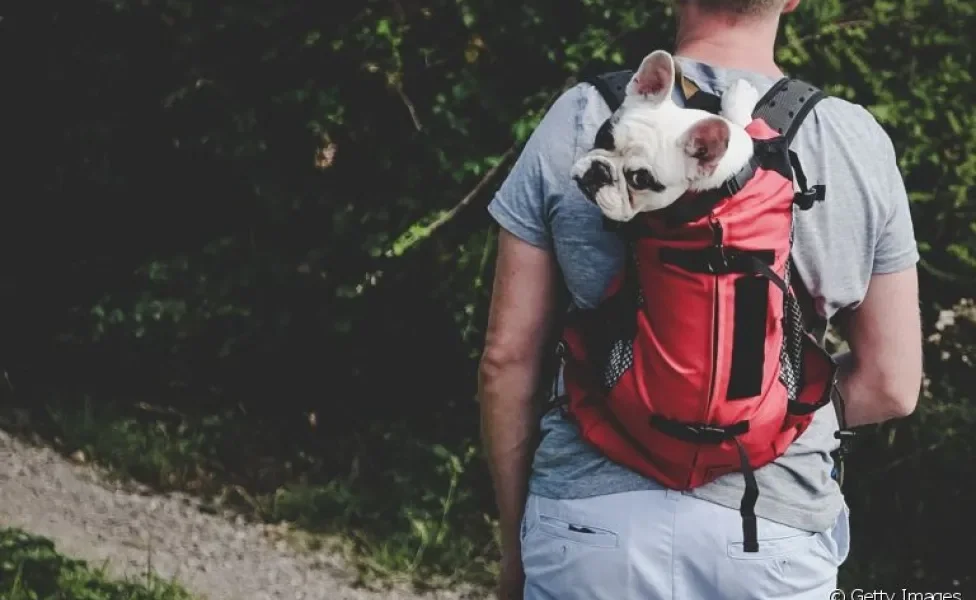 A mochila para cachorro é um acessório bem prático no dia a dia