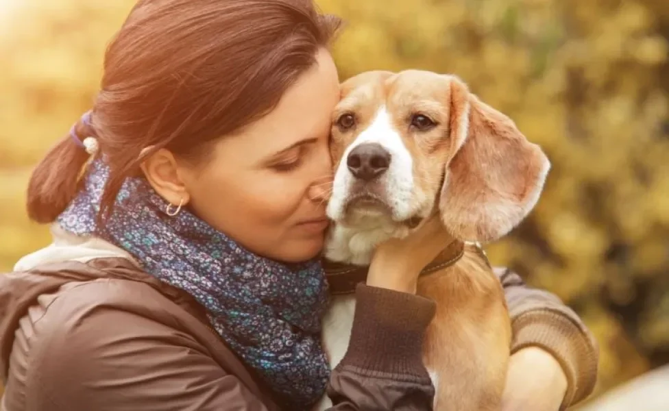 Cachorro ajuda na depressão? Os pets podem ser grandes aliados no tratamento de transtornos psicológicos