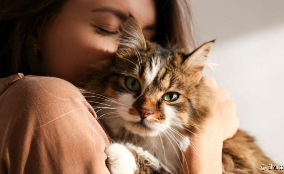 Quem tem alergia a gato definitivamente não precisa se desfazer animal, basta seguir alguns cuidados no dia a dia